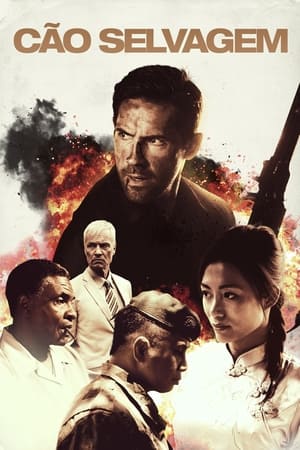 Image nR3i4Ke32T5hRwJ1Z7LBQZH9Tdp