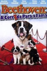 Image dl7iE8W1SynQl47Sy0b5ssENTcp-153x230