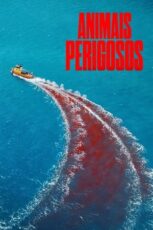 Image mmDObWTMz276UityIljEAZi7De2-153x230